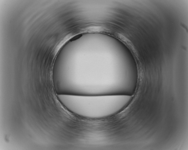 X0000103171473200808221117