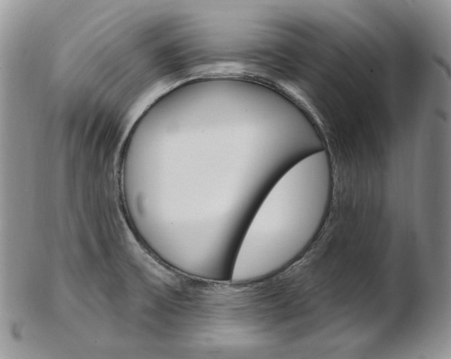 X0000103171475200808221117