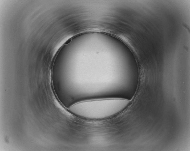 X0000103171476200808221117