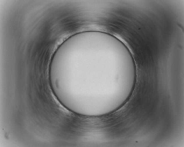 X0000103171477200808221117