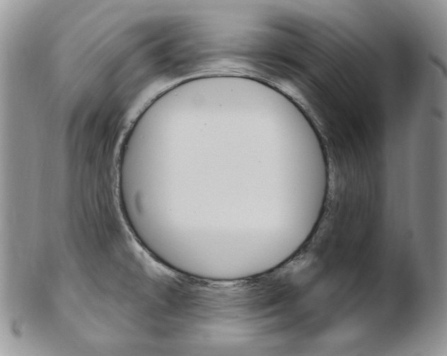 X0000103171478200808221117