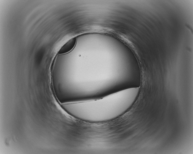 X0000103171479200808221117