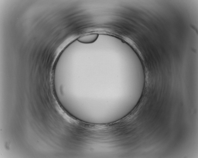 X0000103171482200808221117