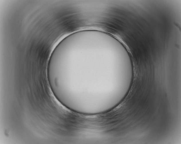 X0000103171484200808221117