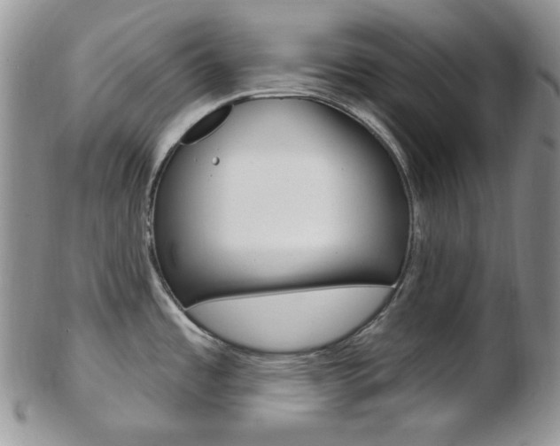 X0000103171485200808221117