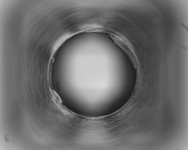 X0000103171488200808221117