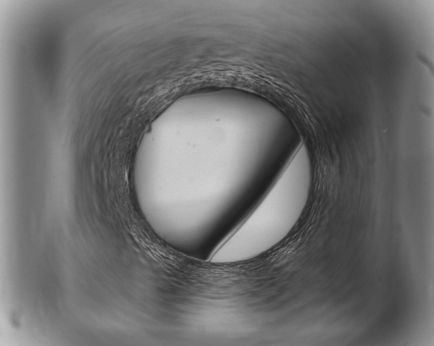X0000103171489200808221116