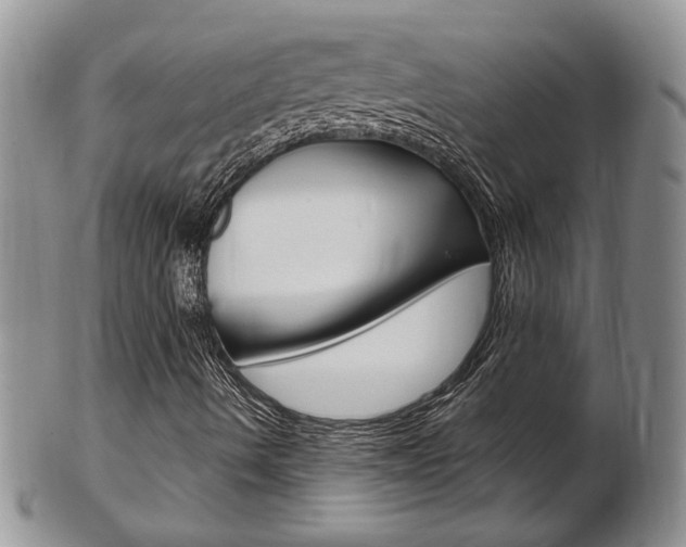 X0000103171490200808221116