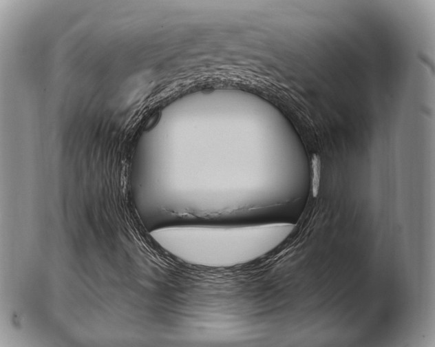 X0000103171491200808221116