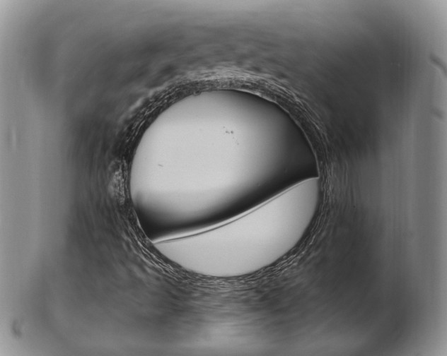 X0000103171493200808221116