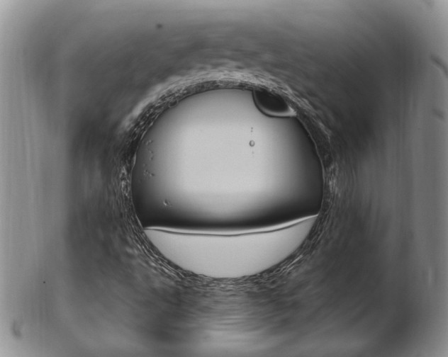X0000103171495200808221116