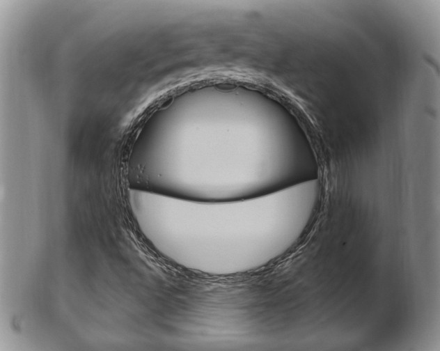 X0000103171496200808221116