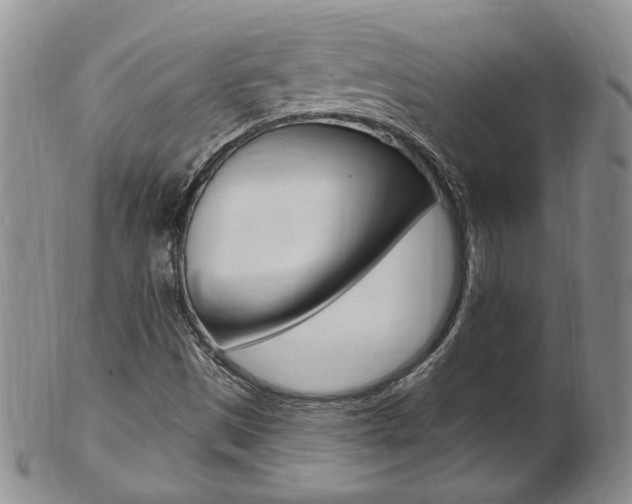 X0000103171497200808221116