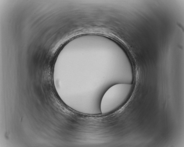 X0000103171498200808221116