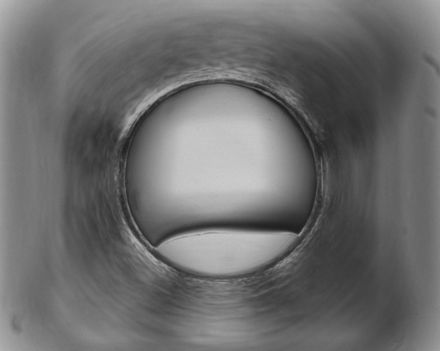 X0000103171500200808221116