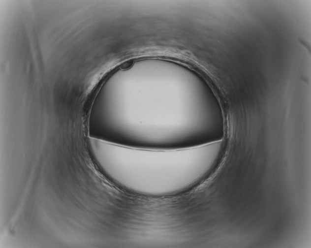 X0000103171501200808221117