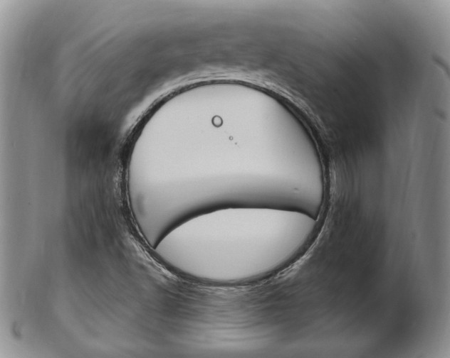 X0000103171502200808221117