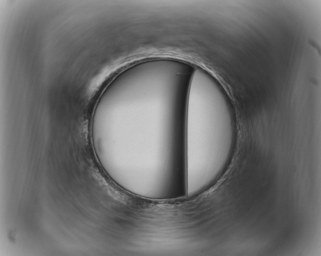 X0000103171503200808221117