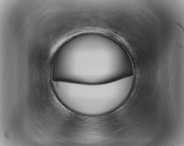 X0000103171504200808221117
