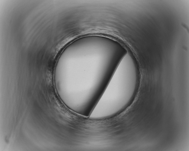 X0000103171505200808221117