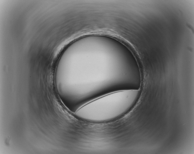 X0000103171506200808221117