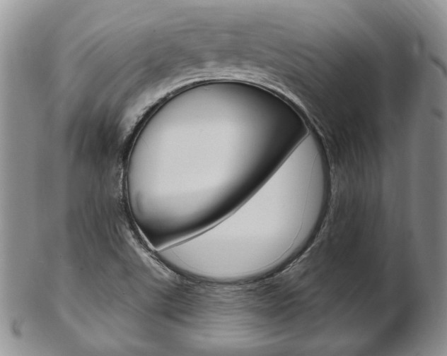 X0000103171507200808221117