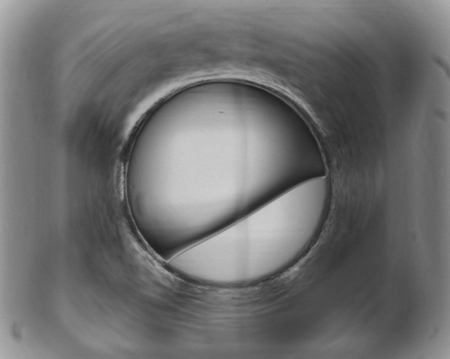 X0000103171510200808221117