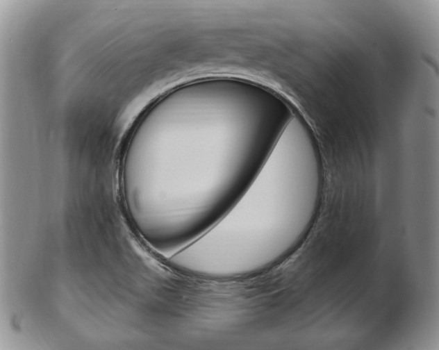 X0000103171511200808221117