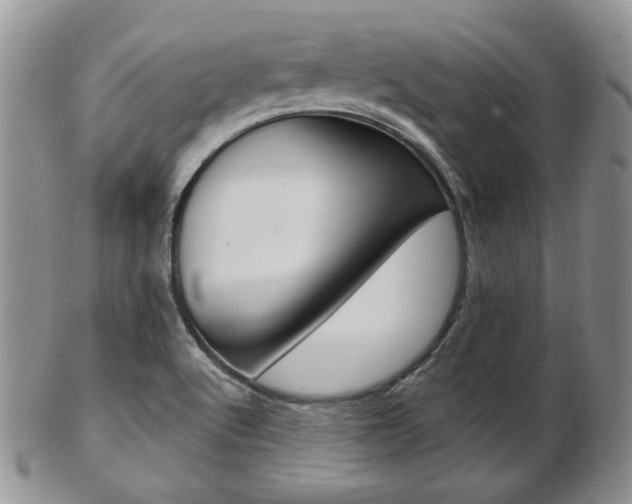 X0000103171512200808221117