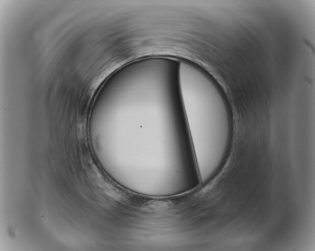 X0000103171513200808221117