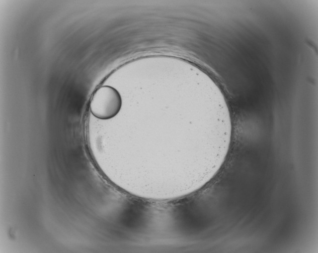 X0000103171514200808221117