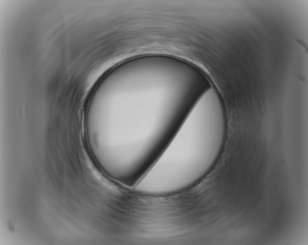 X0000103171515200808221117
