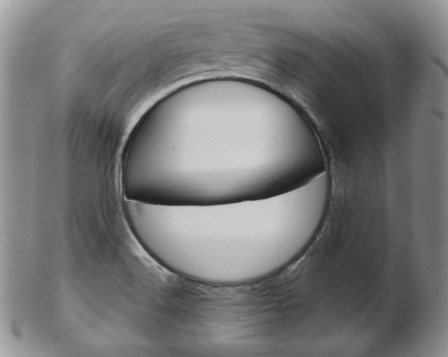 X0000103171516200808221117