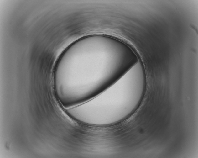 X0000103171517200808221117