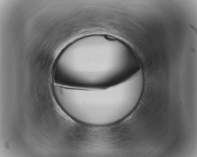 X0000103171518200808221117