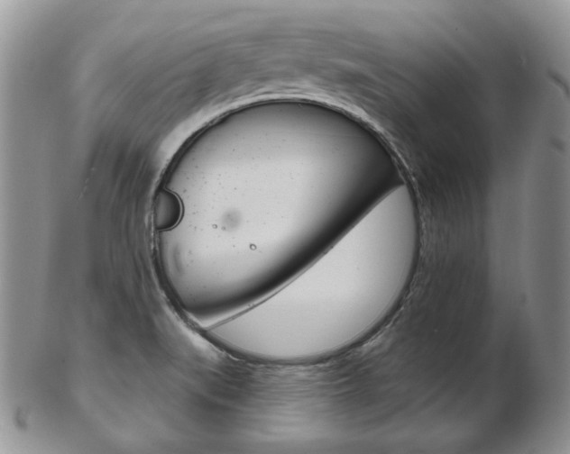 X0000103171519200808221117