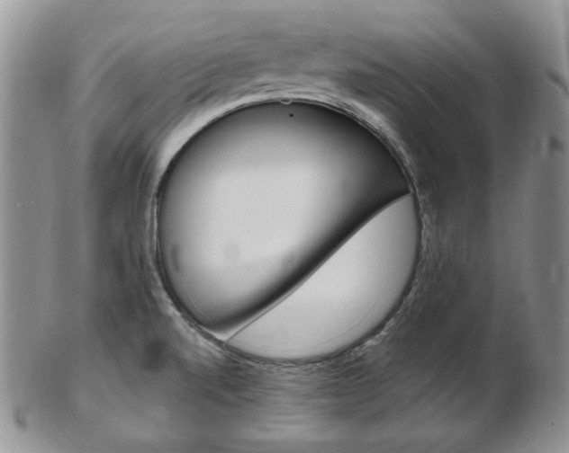 X0000103171520200808221117