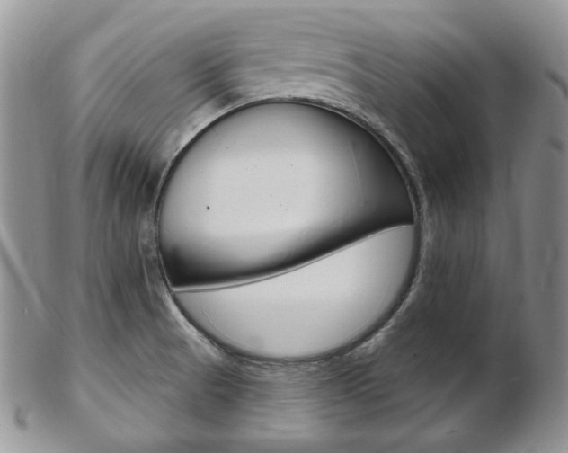 X0000103171521200808221117