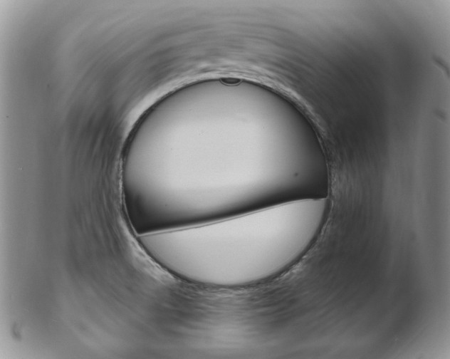 X0000103171522200808221117