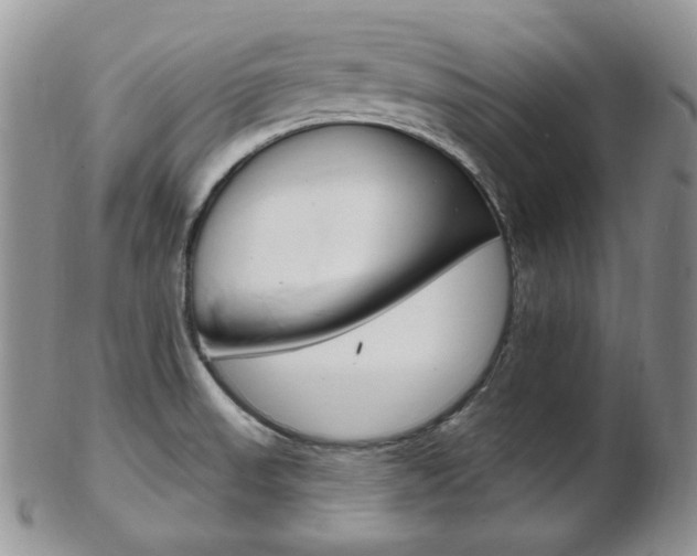 X0000103171523200808221117