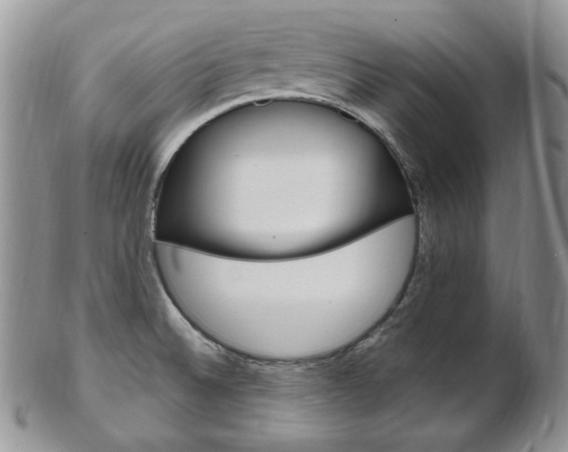 X0000103171524200808221117