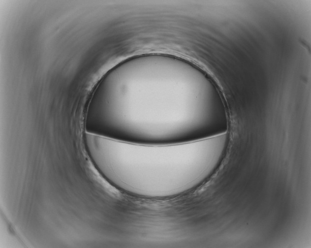X0000103171525200808221117
