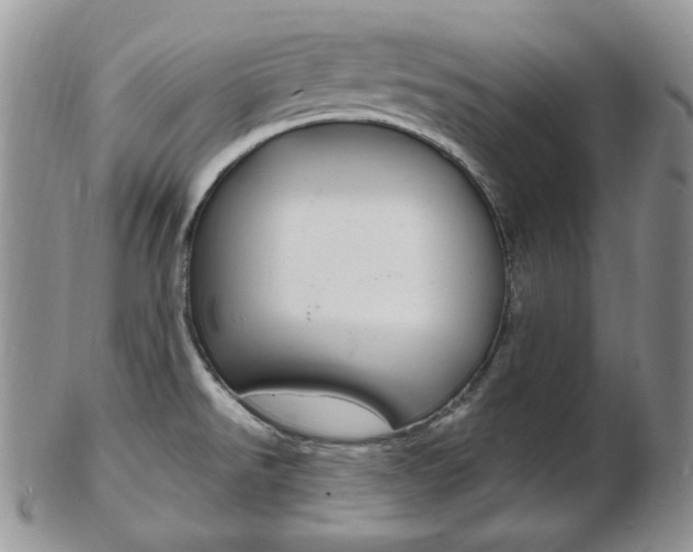 X0000103171526200808221117