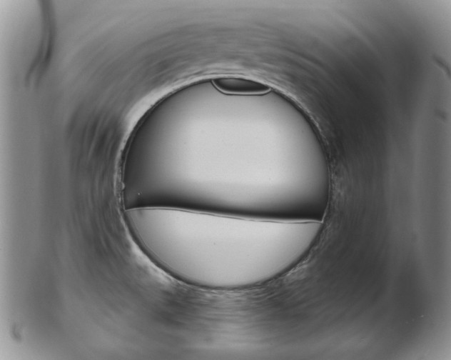 X0000103171527200808221117
