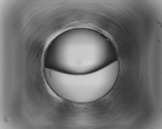 X0000103171528200808221117