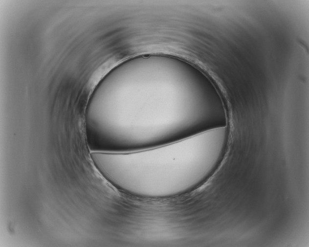 X0000103171529200808221117