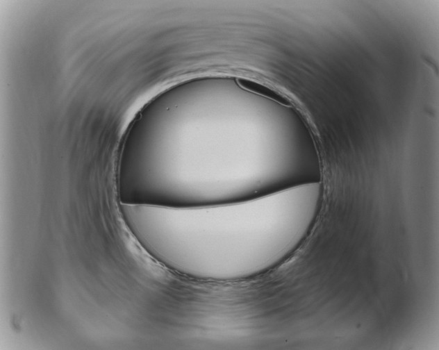 X0000103171530200808221117