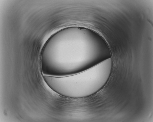 X0000103171531200808221117