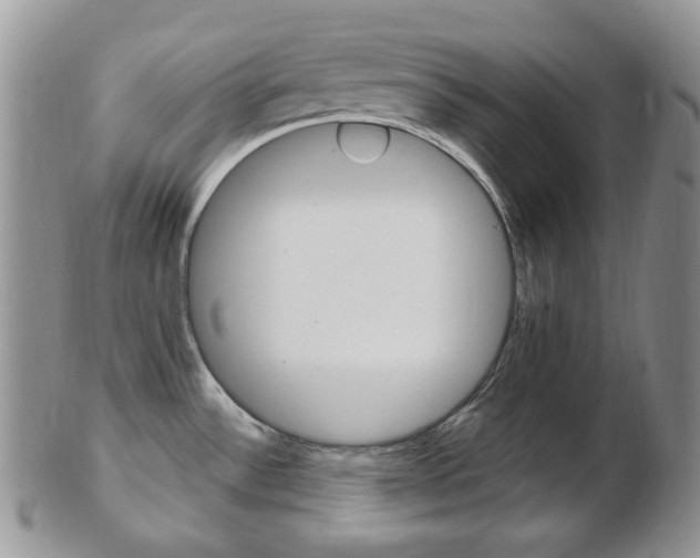 X0000103171532200808221117