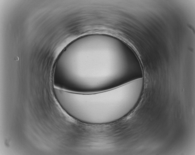 X0000103171533200808221117